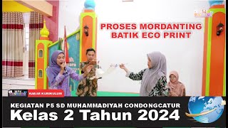 KEGIATAN P5 PROSES MORDANTING DALAM BATIK ECO PRINT KELAS 2 SD MUHAMMADIYAH CONDONGCATUR [upl. by Nicholl]