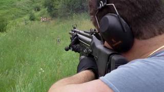 Shooting the PTR 91 308 Cal 75 yards [upl. by Adlanor]