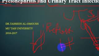 Pathology  dr Tahseen  Pyelonephritis  Acute amp chronic  Nephrosclerosis باثولوجي [upl. by Narud849]