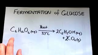 Fermentation  all the chemistry explained [upl. by Carrew]