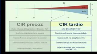 4o RESTRICCION DEL CRECIMIENTO ORIGEN TARDIO [upl. by Nocam]