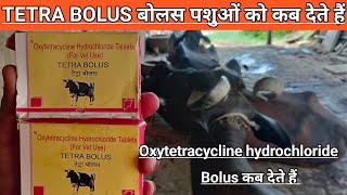 Use Veterinary TETRA BOLUS  oxytetracycline hydrochloride bolus for vet use  antibiotic bolus [upl. by Hagar]