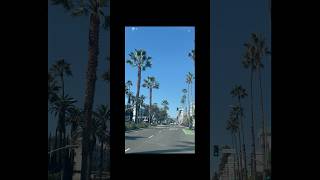 Driving in LA is like 😃🌴 [upl. by Hornstein99]