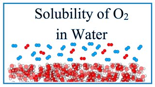 Solubility of O2 Oxygen gas in Water [upl. by Augustina]