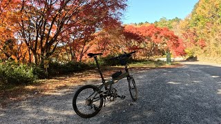 【DAHON Speed Falco】炮烙山までのライドで現状のギア数を検討する【ゆるポタ】 [upl. by Klepac]