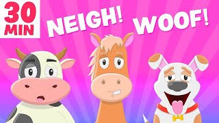 Funny Animal Sounds Song PLUS more kids  Silly Billy Toons [upl. by Raine]