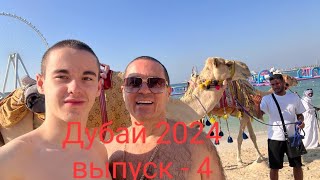 Дубай 2024 январь выпуск  4 Swissotel Al Murooj Dubai 5ОАЭ Дубай [upl. by Sitnalta462]