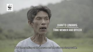 Mindoro Story Tawbuid tribe [upl. by Wandie]