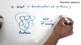 What is denaturation of protein Class 12 Biomolecules  Define native protein [upl. by Towroy888]