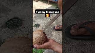 Yummy Macapuno shorts macapuno coconut [upl. by Llerraf338]