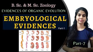 EMBRYOLOGICAL EVIDENCES part1  Evolution  B Sc amp M Sc Zoology [upl. by Weaver]