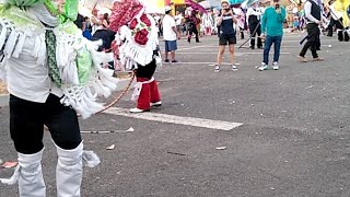 La Danza de la Culebra 2019 [upl. by Iahs677]