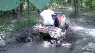 2002 Honda Rancher and 2003 Yamaha Grizzly 660 mudding [upl. by Esemaj]