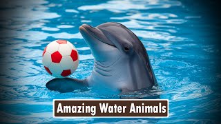 Amazing Water Animals for Kids  Learn Fun Facts About Water Animals  Animal Names amp Sounds [upl. by Ailel847]