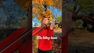 Autumn Leaves  Violin Version autumnleaves lesfeuillesmortes [upl. by Ahseinet49]