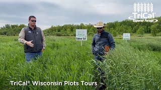 Intro to Wisconsin Plot Tours [upl. by Lezley346]