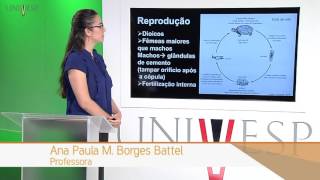 Zoologia de Invertebrados  Aula 10  Filos Acanthocephala e Entoprocta [upl. by Michaele]