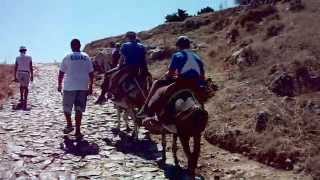 Lindos Donkeys Boys Aug2014 [upl. by Urbas]