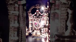 om namo venkatesaayagovindasevenhillsspecial darsanspirituality bhakti ytshorts shorts [upl. by Yleme]