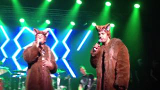 Ylvis  The Fox live in Tysvær [upl. by Nairadas]