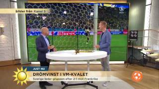 Grattis Sverige Drömvinst i VMkvalet  Nyhetsmorgon TV4 [upl. by Wimsatt]