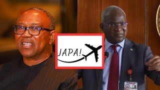 Japa Peter Obi and Fashola share their Perspective on Nigerians migrating abroad [upl. by Schroeder645]