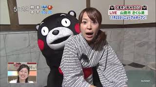 Kumamon くまモン Funny and Fail Moments [upl. by Ailito]