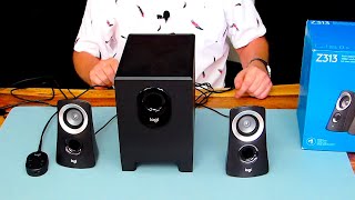 Logitech Z313 21 Multimedia Speaker System  Full Review [upl. by Gaivn]