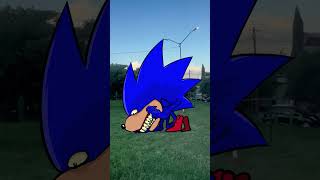 Shim Sonic persigue a la gente sonic sonicthehedgehog shinsonic [upl. by Hank]