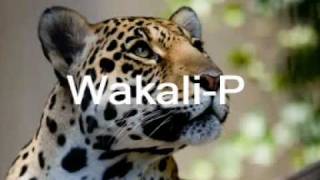 Usiskie coras by Wakali Power [upl. by Aidualk307]