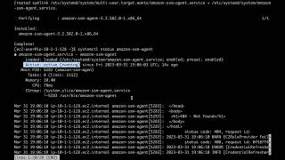 How to Install the Amazon SSM Agent for Linux [upl. by Hosea]