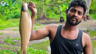 Cooking Delicious Mrigal Fish Curry In Village  Village Pond Fish  Healthy Village Foods [upl. by Coonan38]