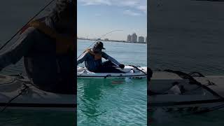 kayaking kayakfishing kayakfishinnguae stealthkayak uae fishing [upl. by Schaper]