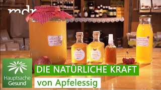 Apfelessig als Heilmittel  Hauptsache gesund  MDR [upl. by Brandice]