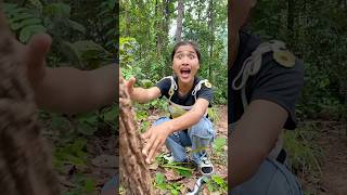 Survival Skills In Forest Kitten rescue survival bushcraft camping outdoors forest kitten [upl. by Tirma]