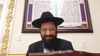 Halachot Shabbat Part 47  Chazon Ovadia book 3  Rav Moshe Moretov 5784 [upl. by Itra]