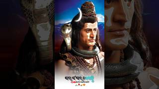 New Mahadev Short Video 🌹🙏  Odia Shiva Bhajan 4k Video Full Screen 😍 shorts mahadev bhjan virl [upl. by Ennirac]