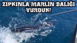 ZIPKINLA DEV MARLİN BALIĞI VURDUK  TARİHİ GÖRÜNTÜLER [upl. by Enerod]