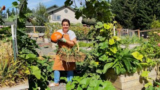 Epic Garden Harvest of Homegrown Wheat and SO Much MORE [upl. by Eissac]