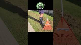 Scarifying Ryegrass Lawn lawncare [upl. by Thor619]