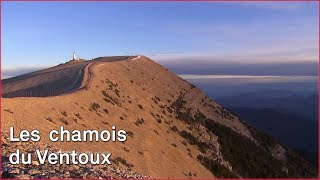 Lascension du Ventoux [upl. by Cass]