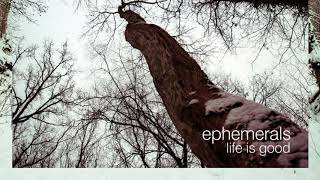 Ephemerals  Life Is Good Technimatic Remix [upl. by Acinoj]