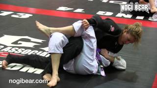 Terrie Schauer vs Tara Dixon • NAGA World Championship 04 25 15 • Female Purple Gi Grappling [upl. by Yddur]