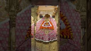 Jai shree shyamshortvideo shyam subscribe subscribe subscribe shyambaba shorts [upl. by Luben]