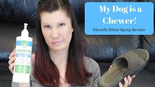 How do I get my dog to stop chewing [upl. by Avat]