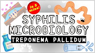 Syphilis Treponema pallidum Microbiology All you need to know [upl. by Ellah]