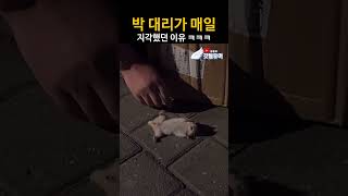 겪어 본 사람만이 아는 이 고통ㅋㅋㅋㅋㅋ [upl. by Analiese737]