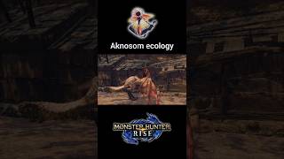 Aknosom eating Altaroth shorts monsterhunterrisesunbreak モンスターハンター [upl. by Noeled]