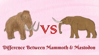 Mammoth VS Mastodonwho was stronger than another [upl. by Norven360]