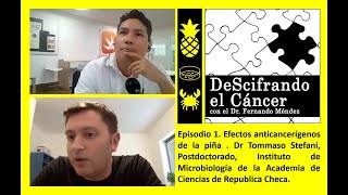 Podcast DeScifrando el Cáncer 🎙🦀 Efectos anticancerígenos de la piña 🍍 Dr Tommaso Stefani 👨‍🔬🧬 [upl. by Tengdin]